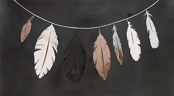 Черное перо птицы_значение