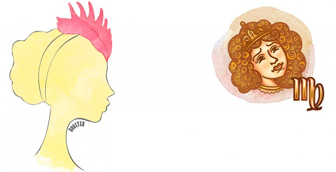 Характеристика мужчин и женщин Дев в год Петуха