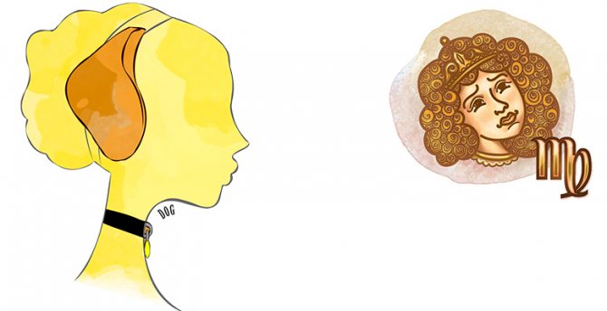 Характеристика мужчин и женщин Дев в год Собаки