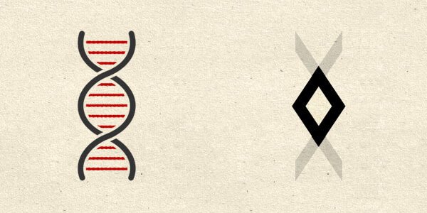 Ингуз и ДНК