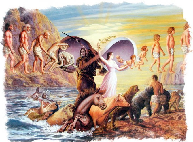 карма человека