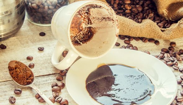 Кошка в гадании на кофейной гуще