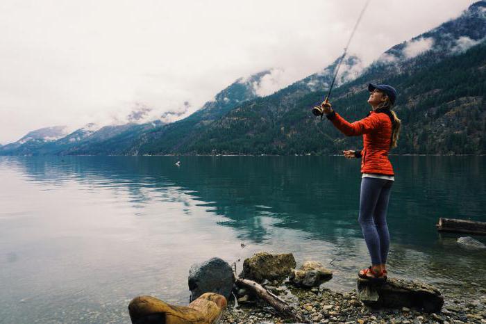 сонник поймать рыбу