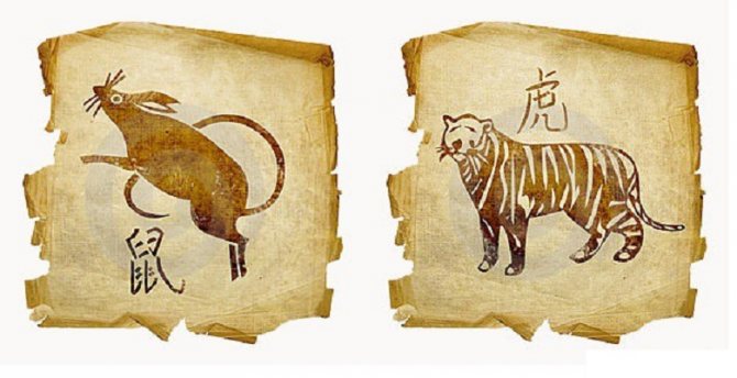 Совместимость Крысы и Тигра: и пусть победит сильнейший!