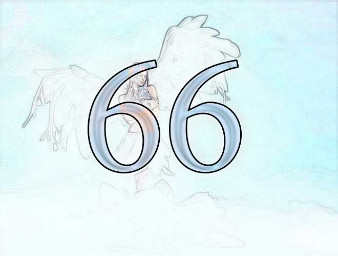 значение числа 66